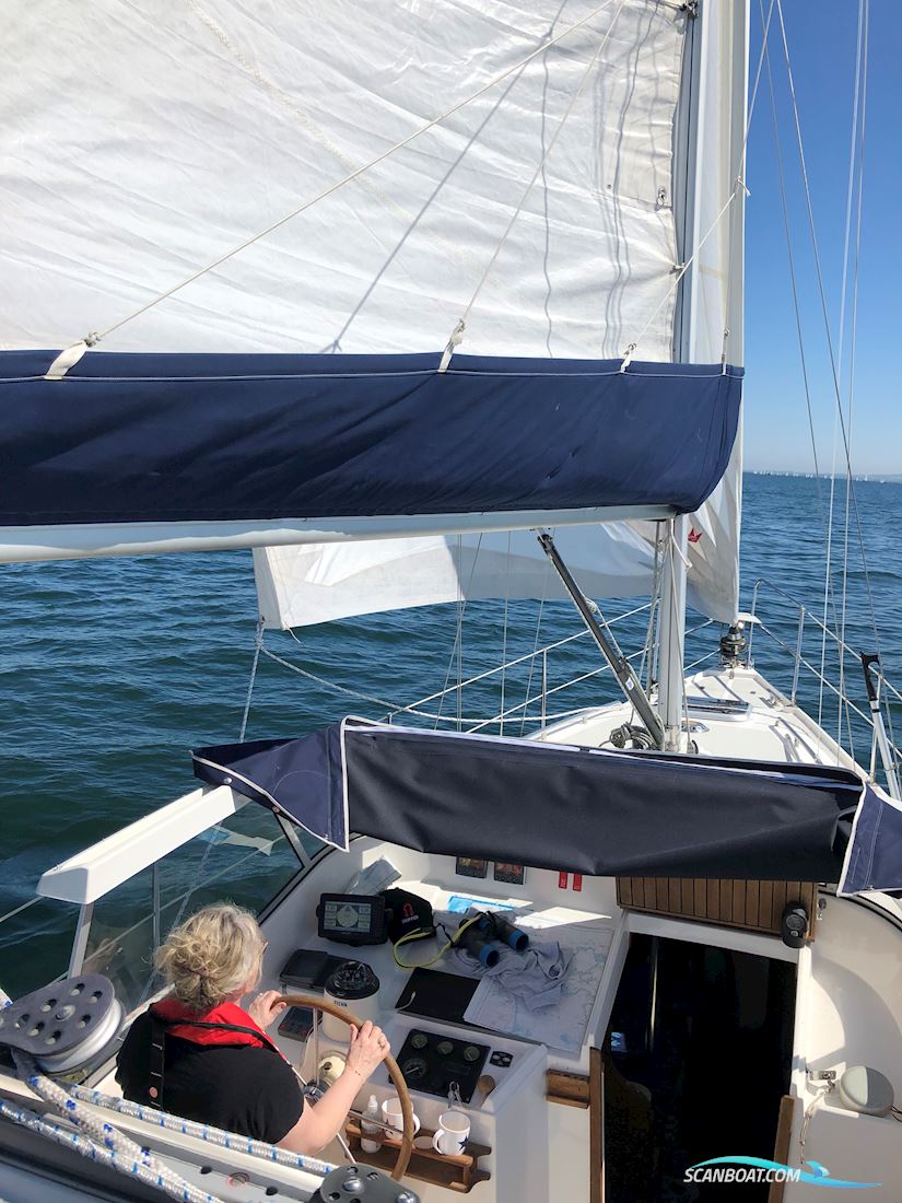 Compass 31