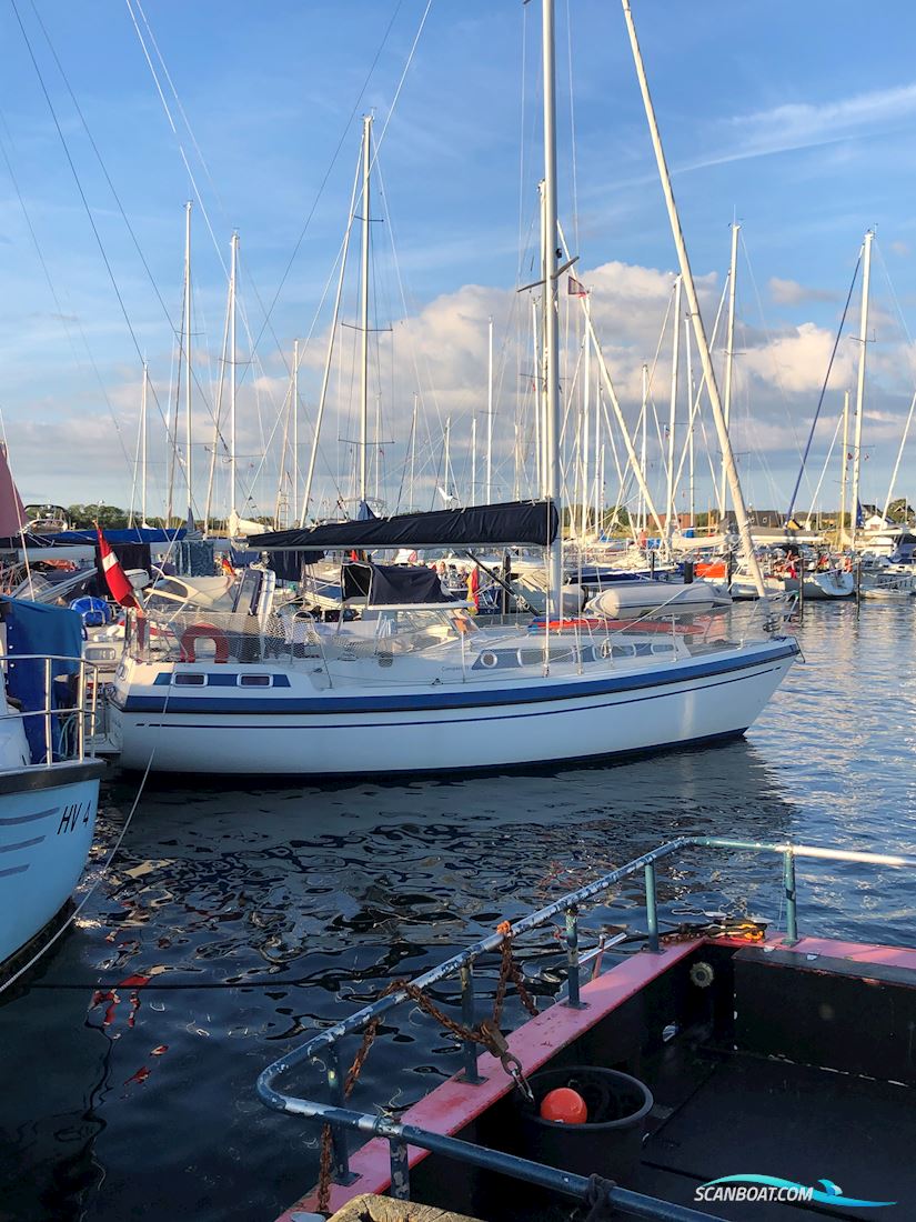 Compass 31