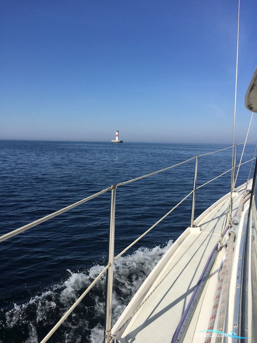 Compass 31