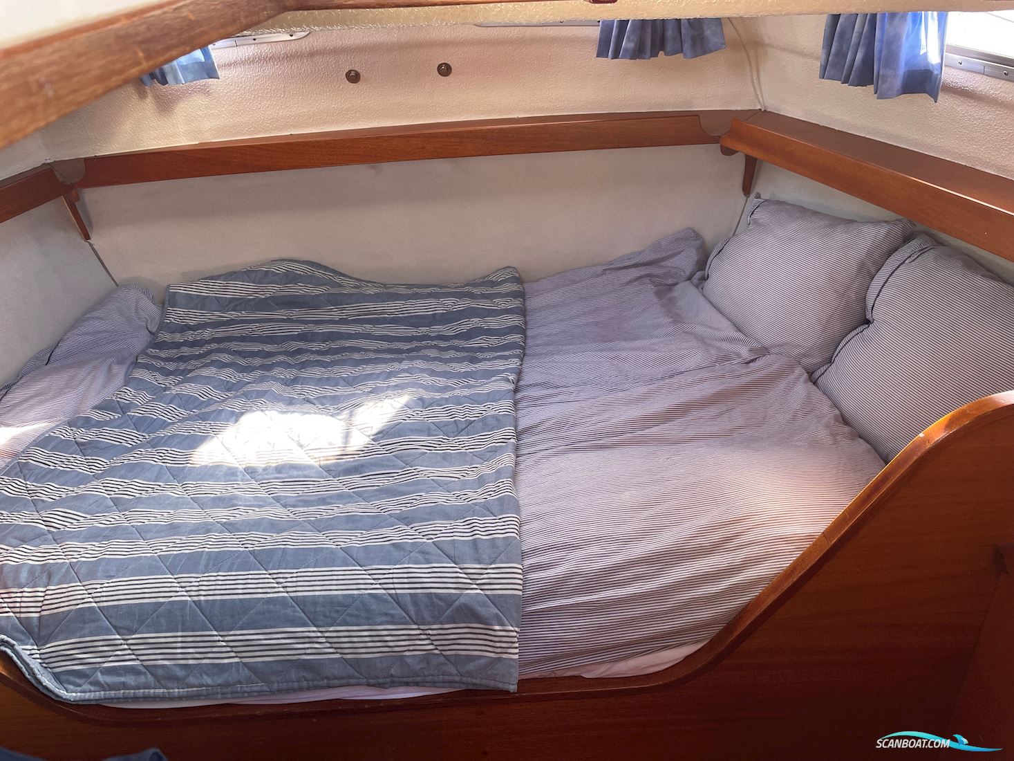 Compass 31