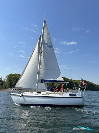 Compass 31 Motorseglar 1978, med Nanni
 motor, Danmark