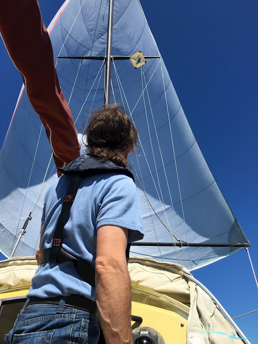 Draco Summerwind 24'