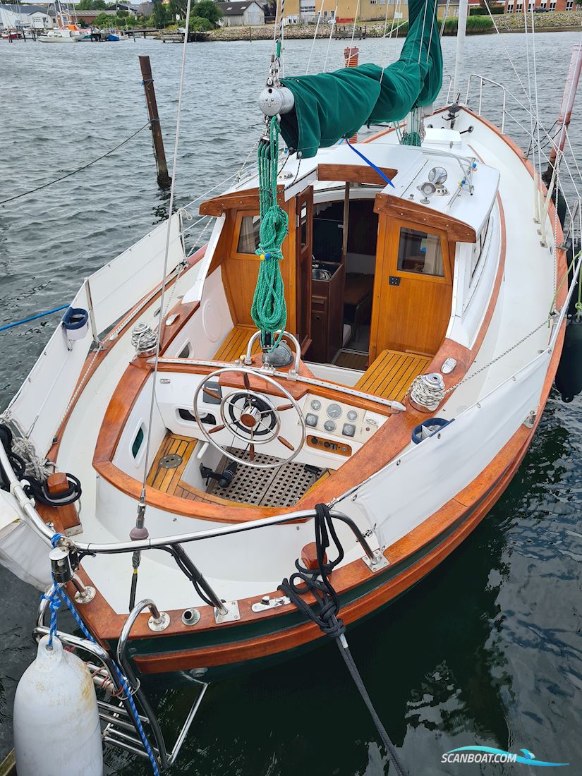 Fjord ms 33