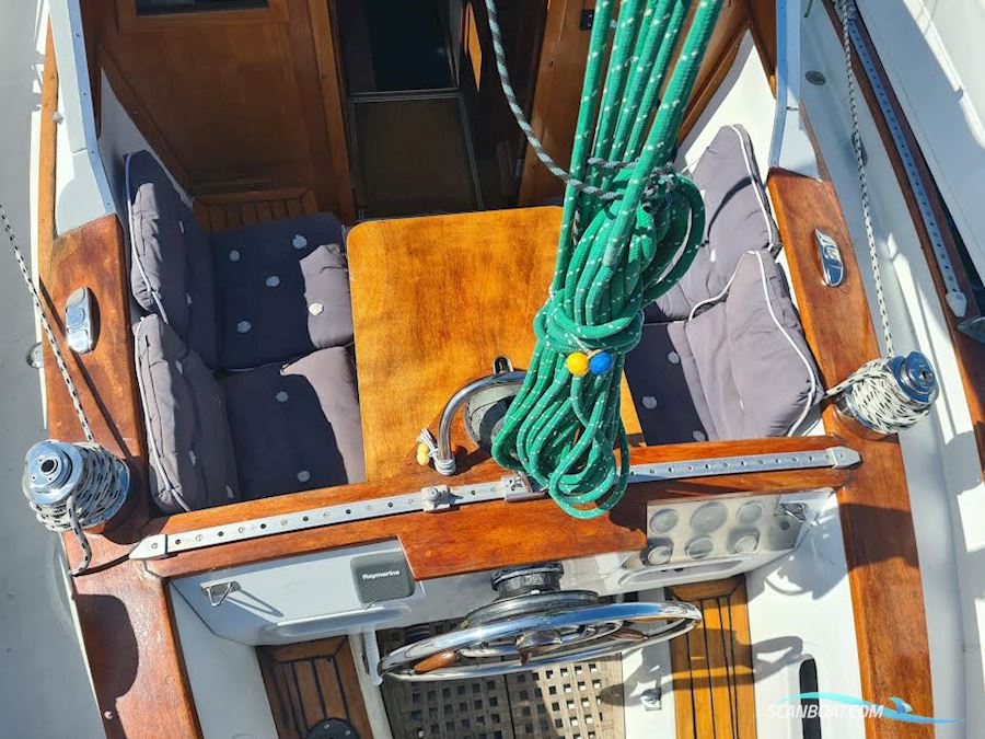 Fjord ms 33