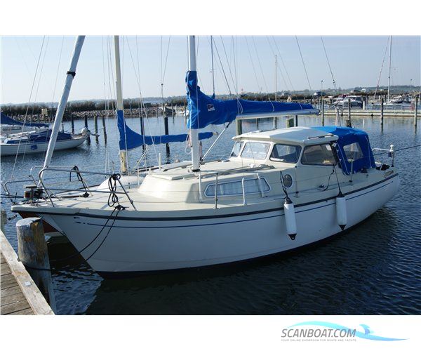 Mascot 24
