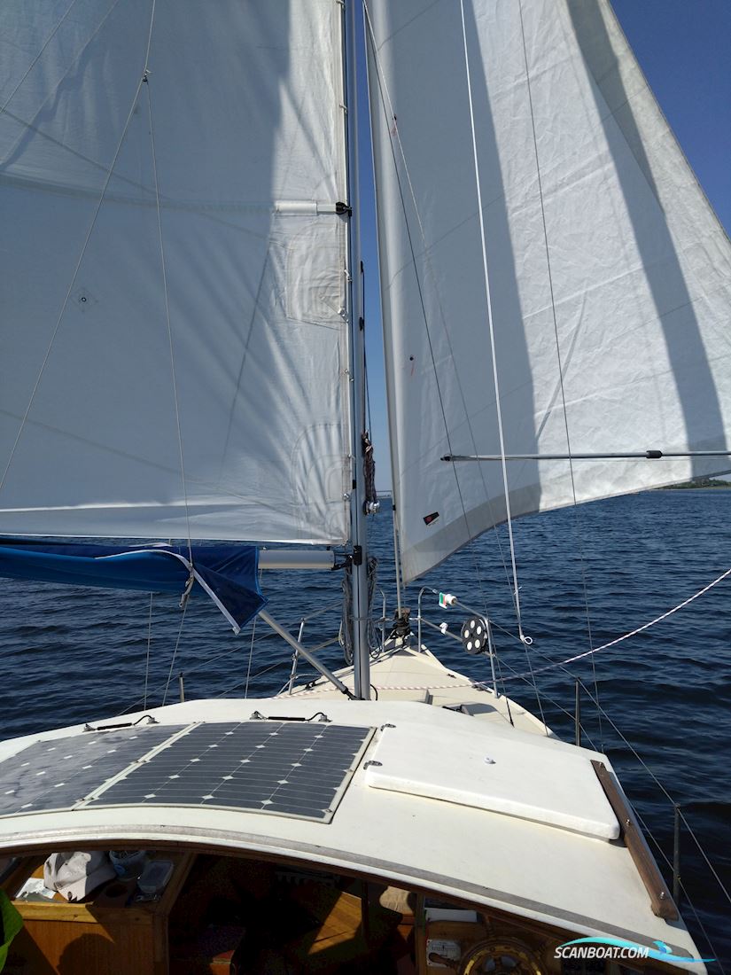Mascot 24