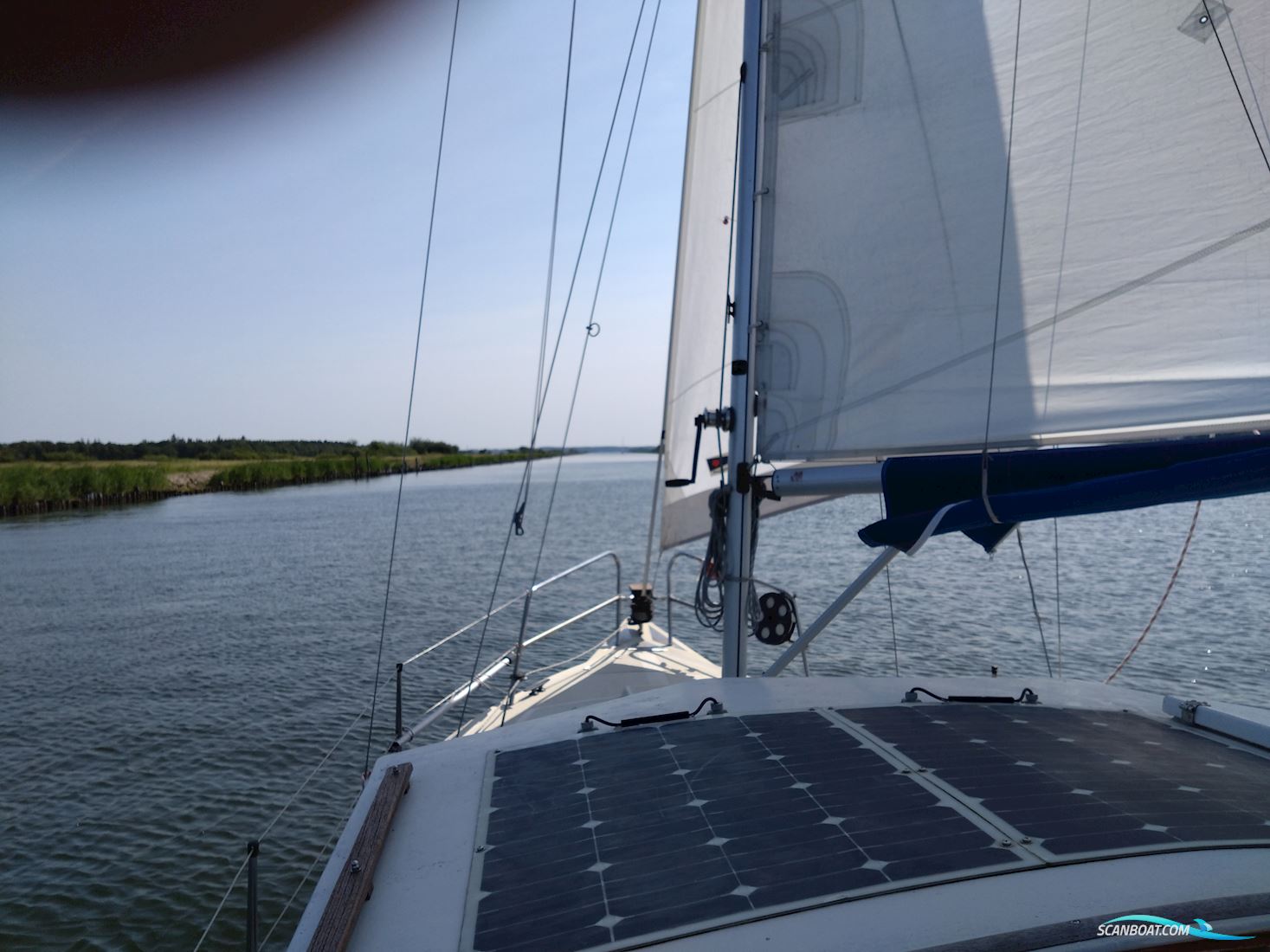Mascot 24