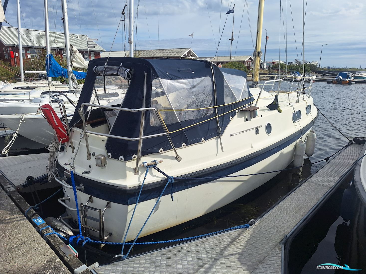 Medusa 25