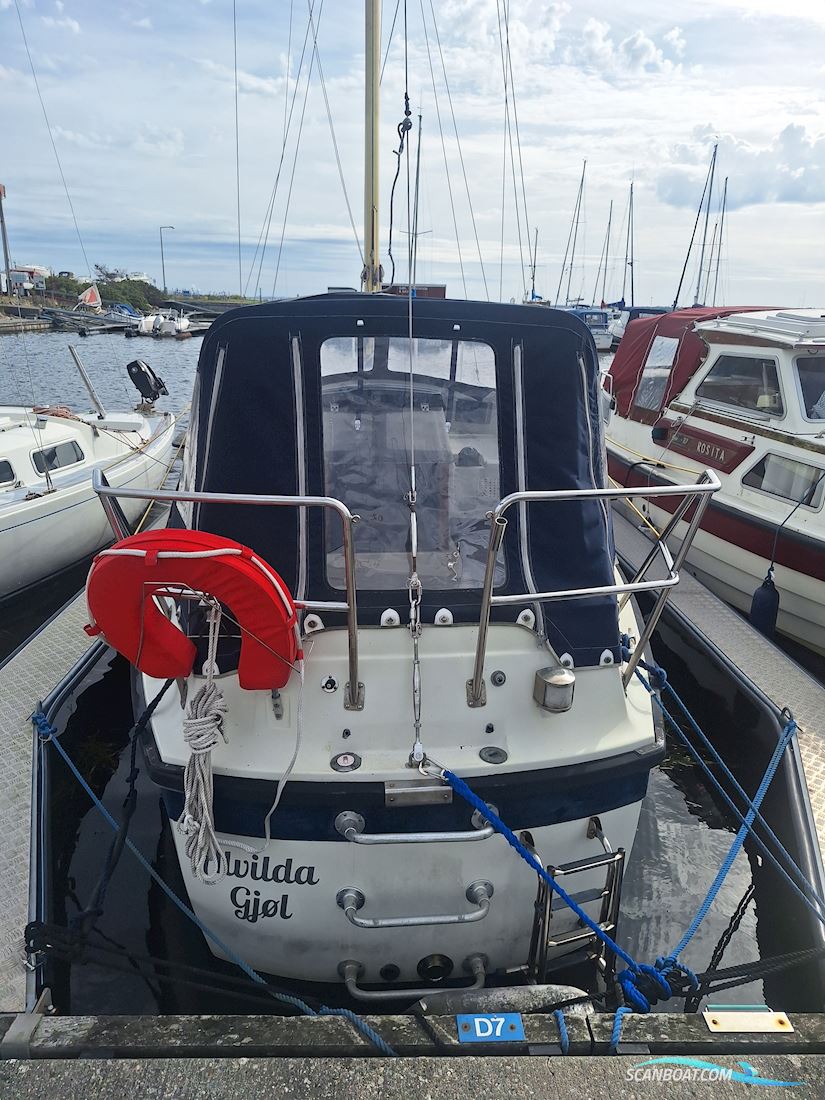 Medusa 25
