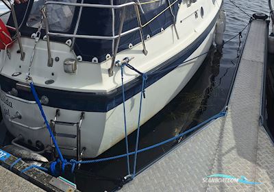 Medusa 25 Motorseglar 1974, med Bukh DV-20 motor, Danmark