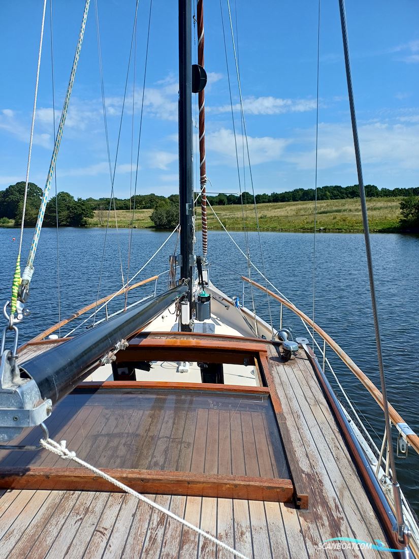 Rubin 35