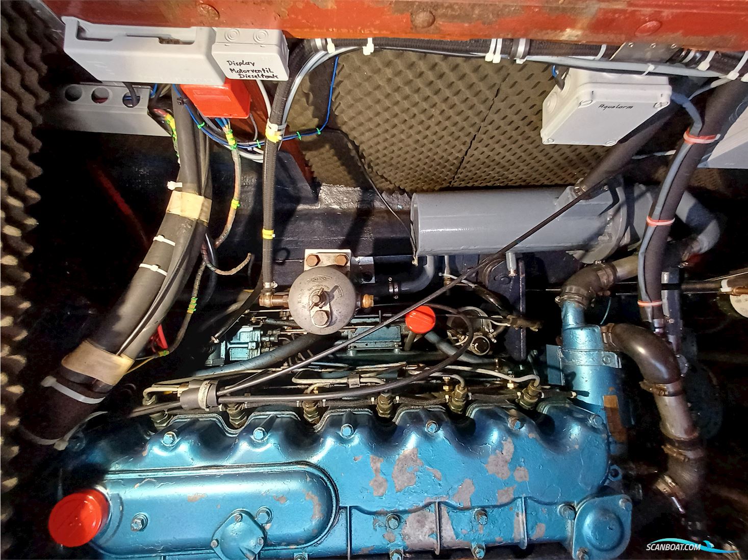 Rubin 35