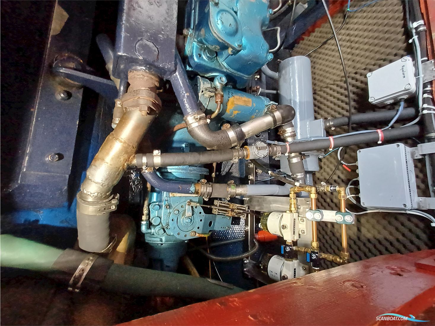 Rubin 35