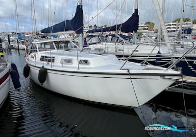 Venus 31 Motorseglar 1978, med Perkins 4108 motor, Danmark