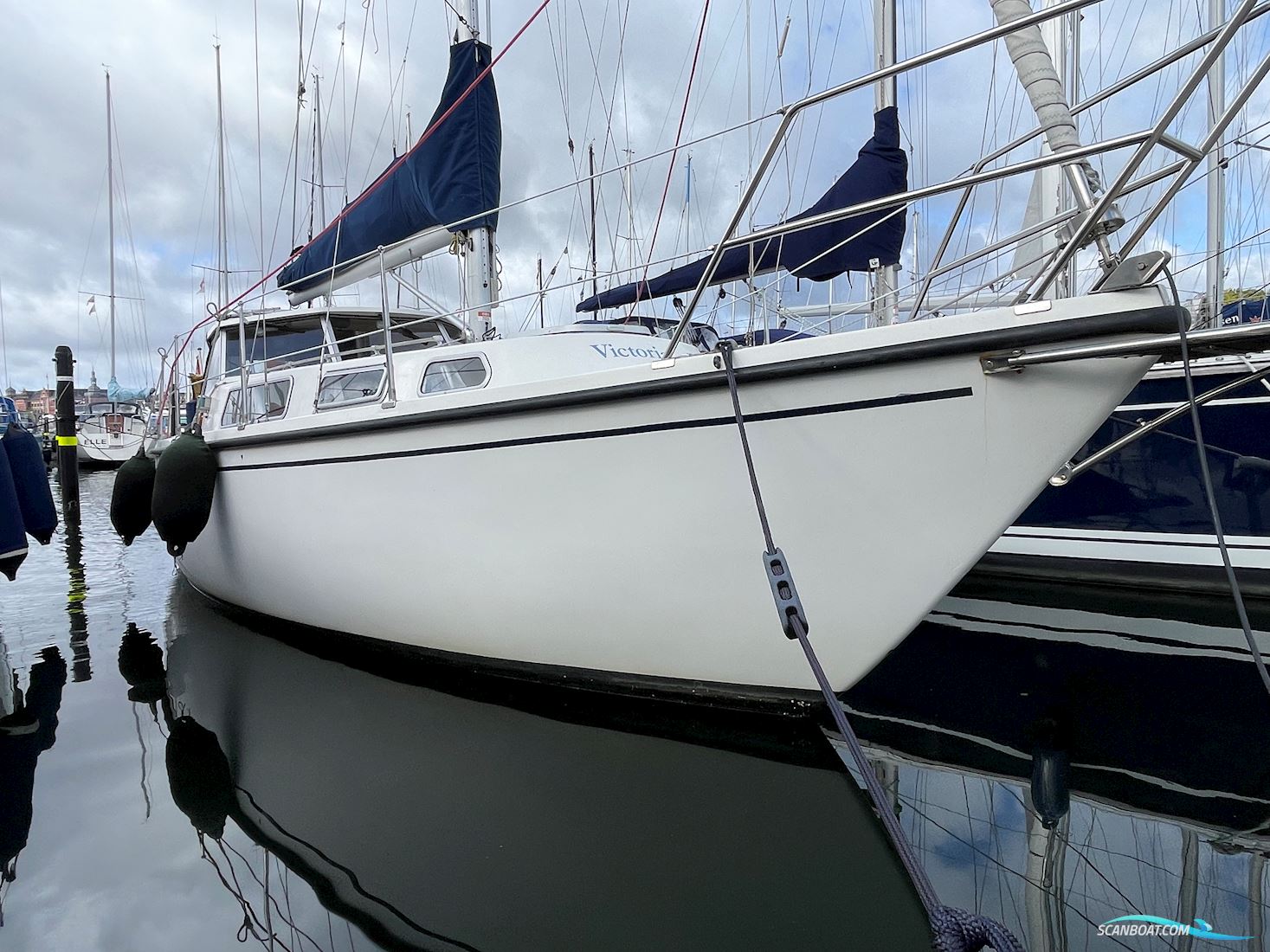 Venus 31