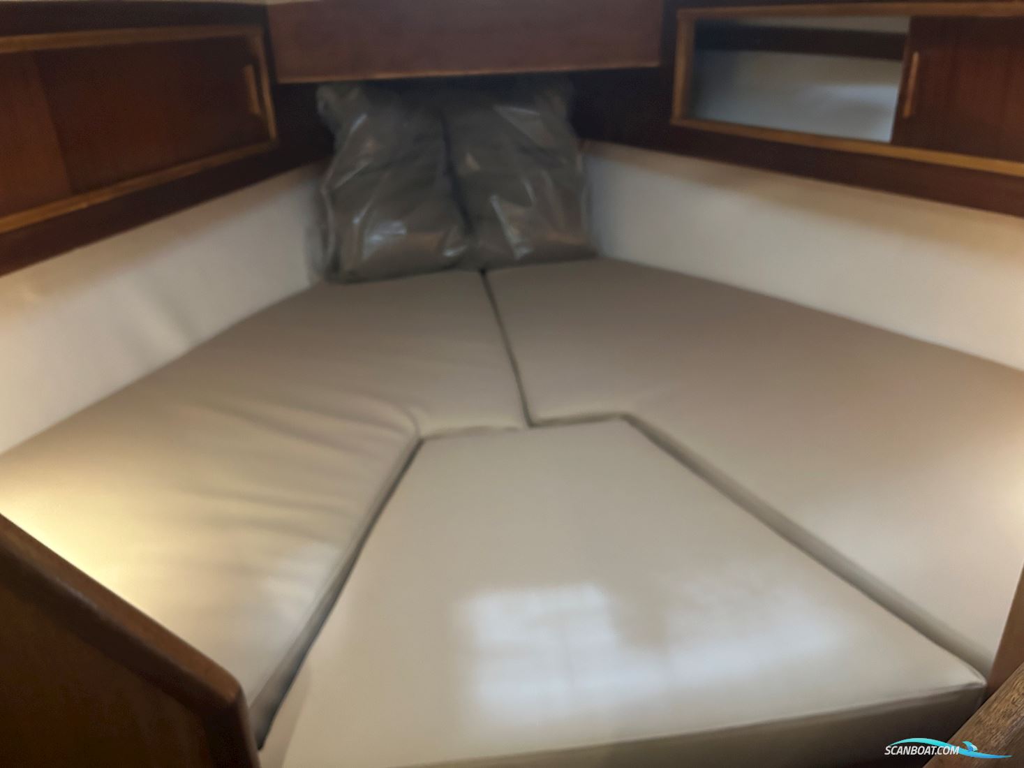 Albin MS 82