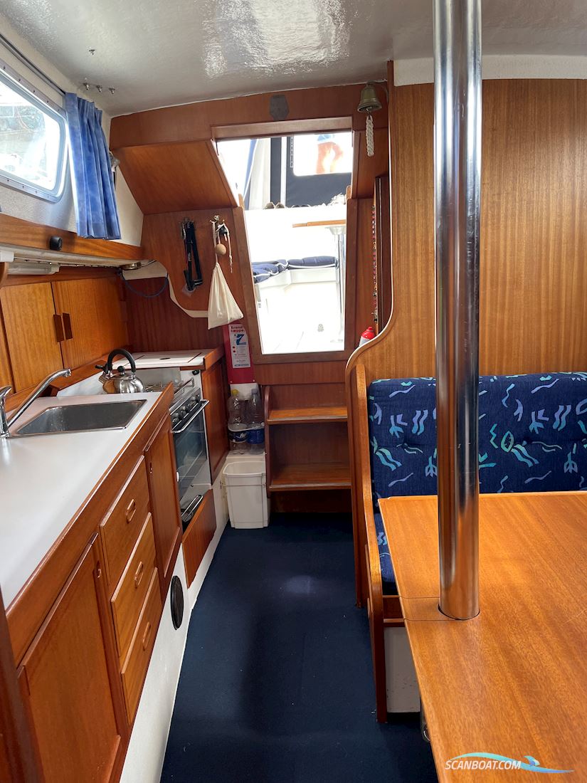 Compass 31