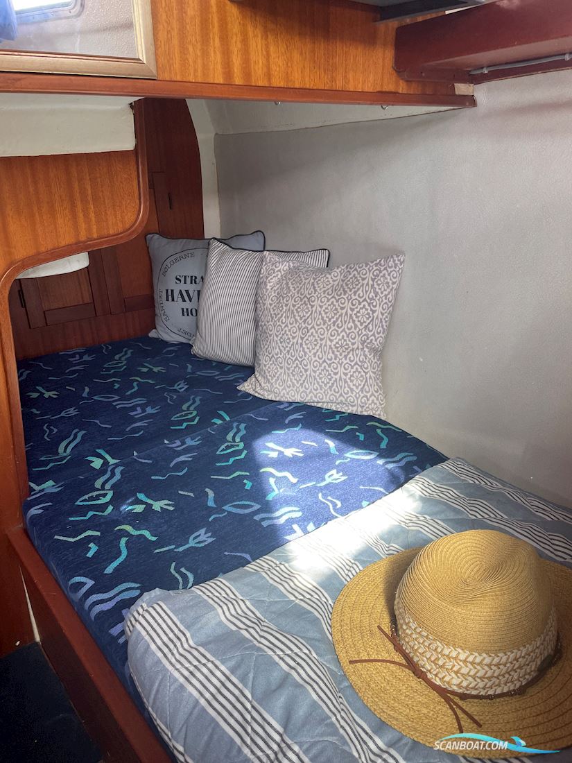 Compass 31