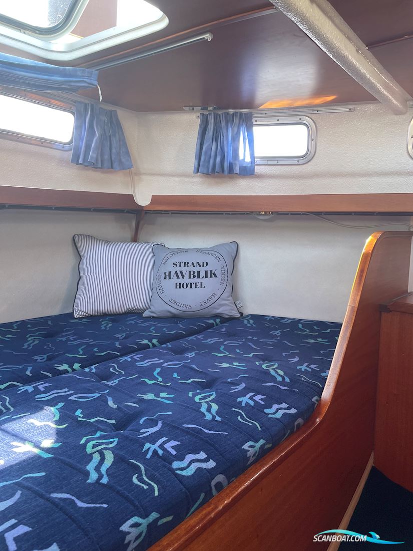 Compass 31