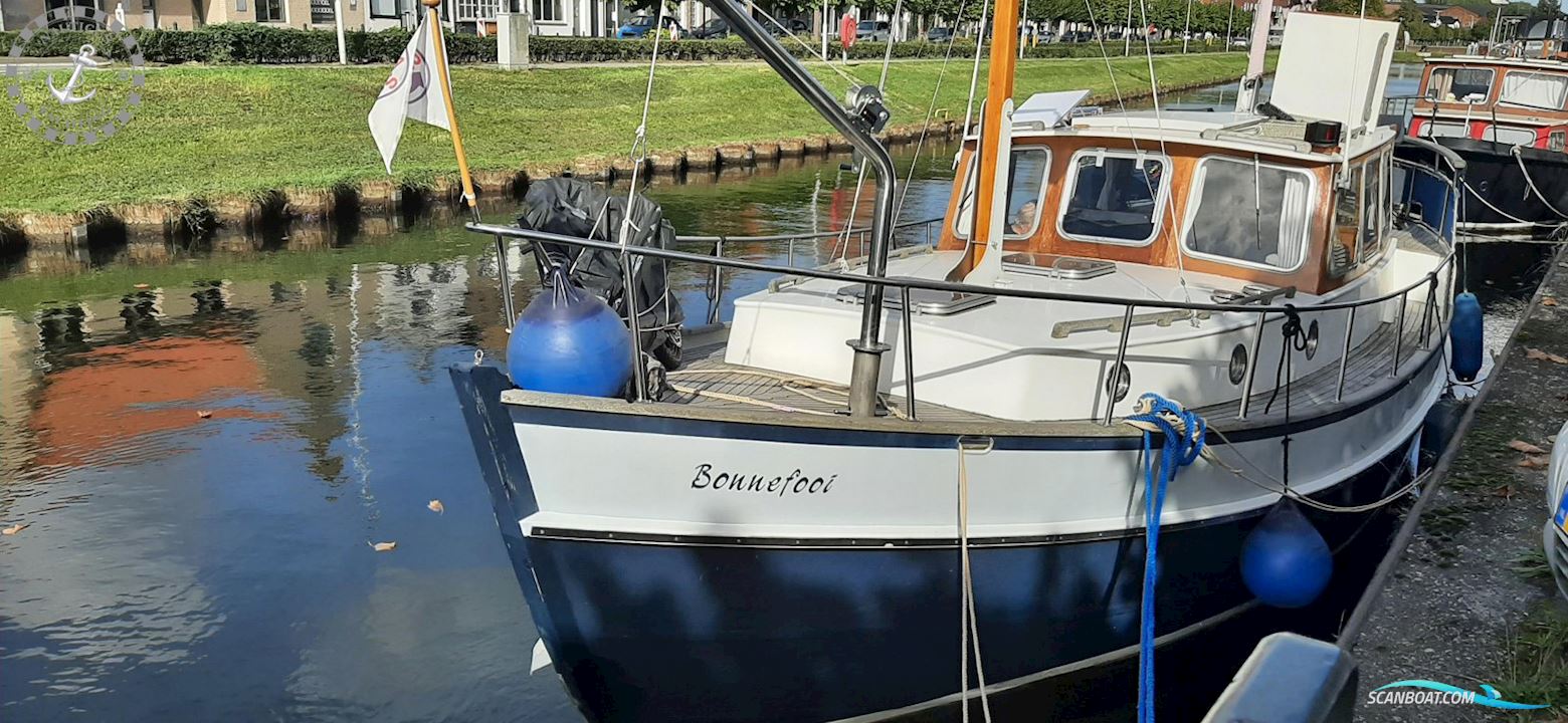 Danish Rose 32