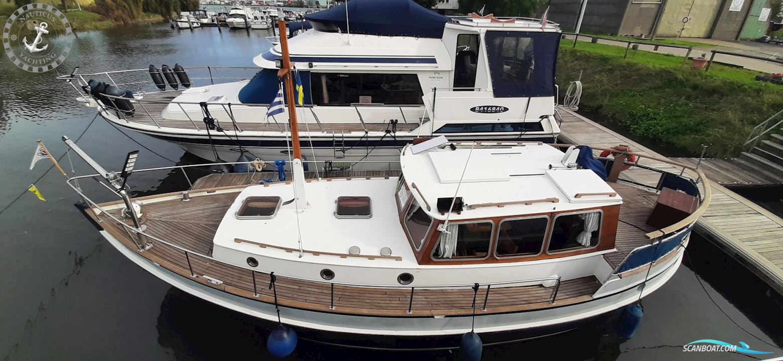Danish Rose 32
