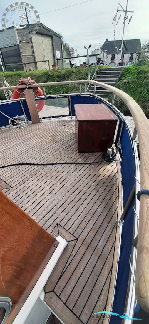 Danish Rose 32