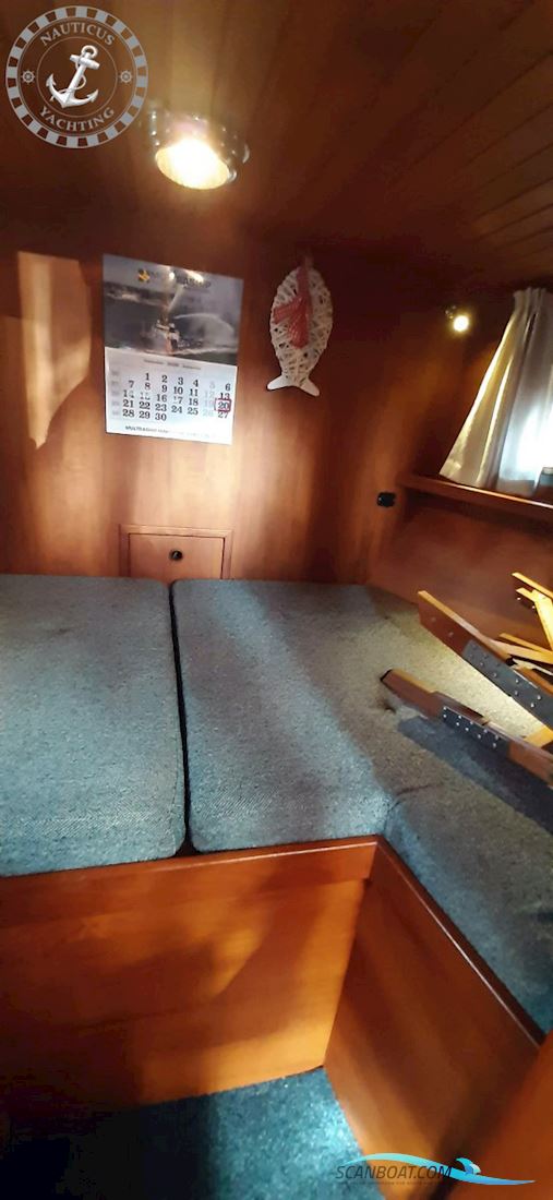 Danish Rose 32