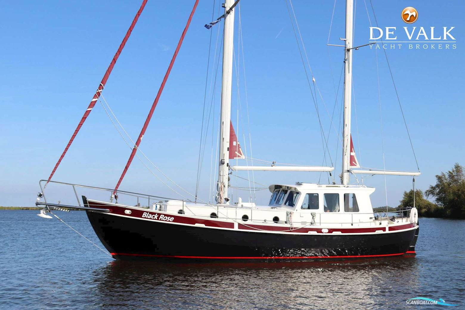 Danish Rose 37