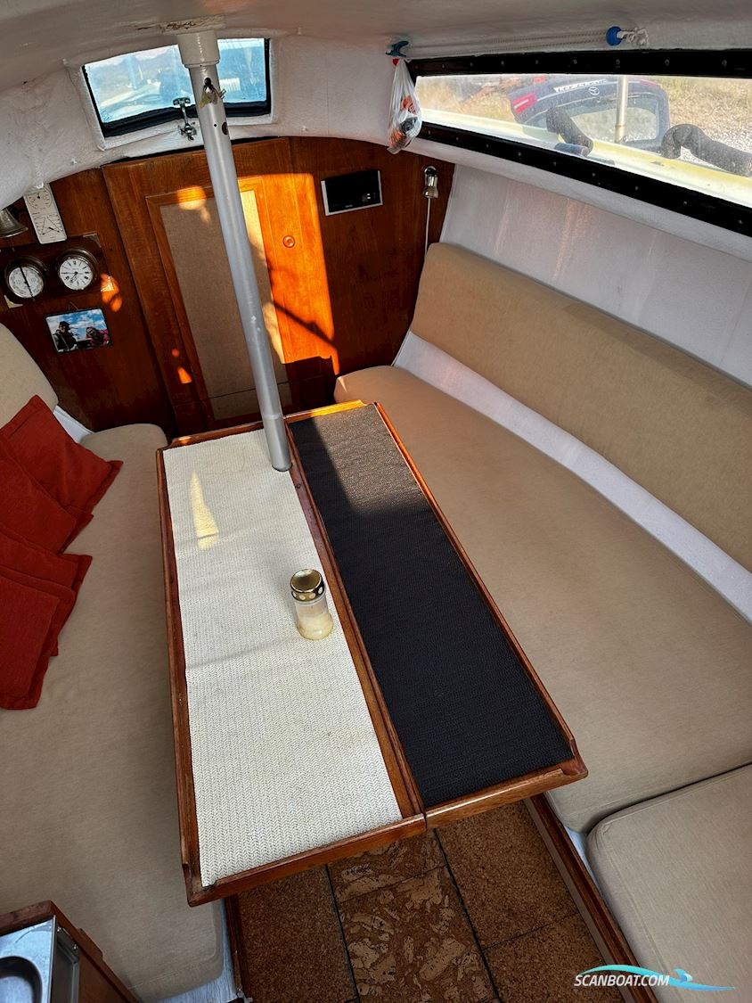 Draco Summerwind 24'