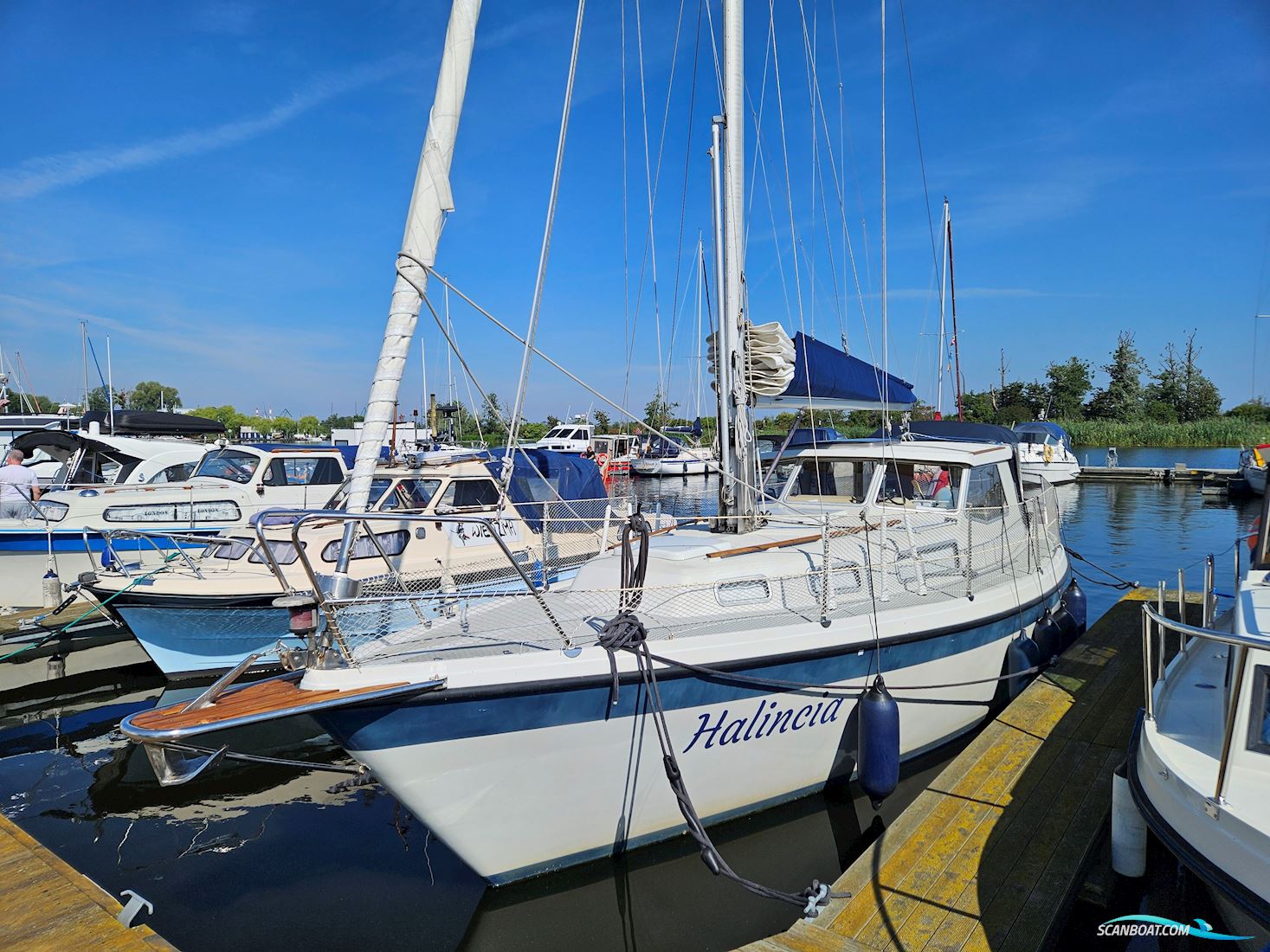LM 30