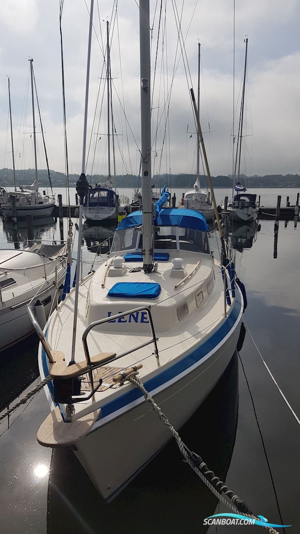 Malö 40