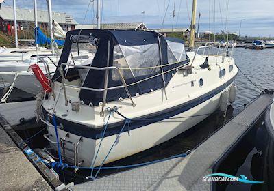 Medusa 25 Motorsegler 1974, mit Bukh DV-20 motor, Dänemark