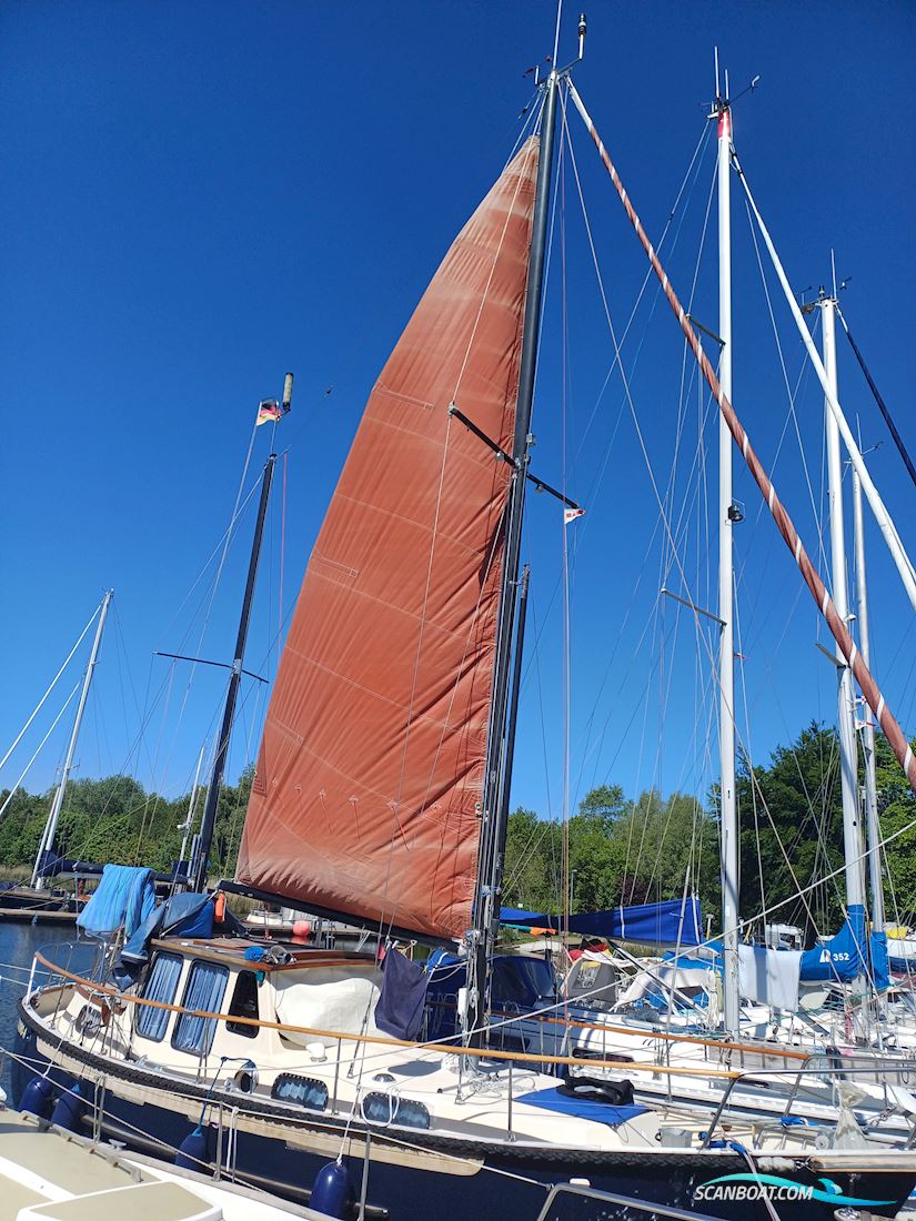 Rubin 35