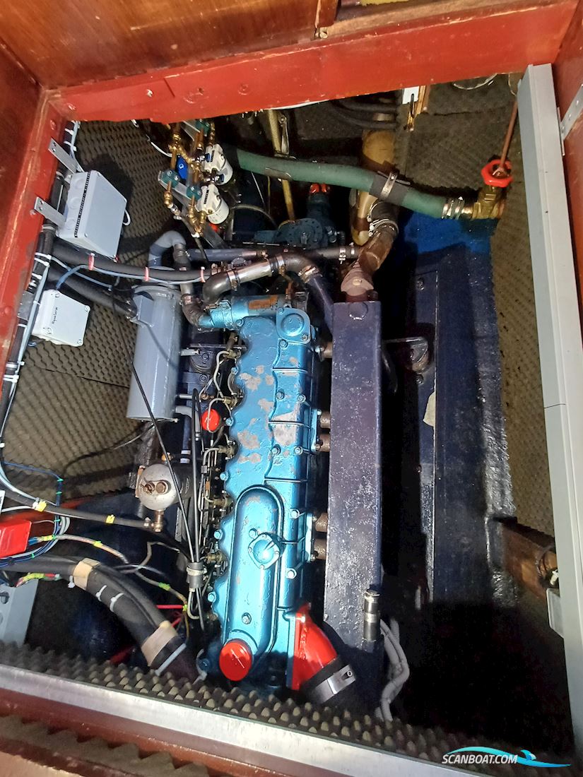 Rubin 35