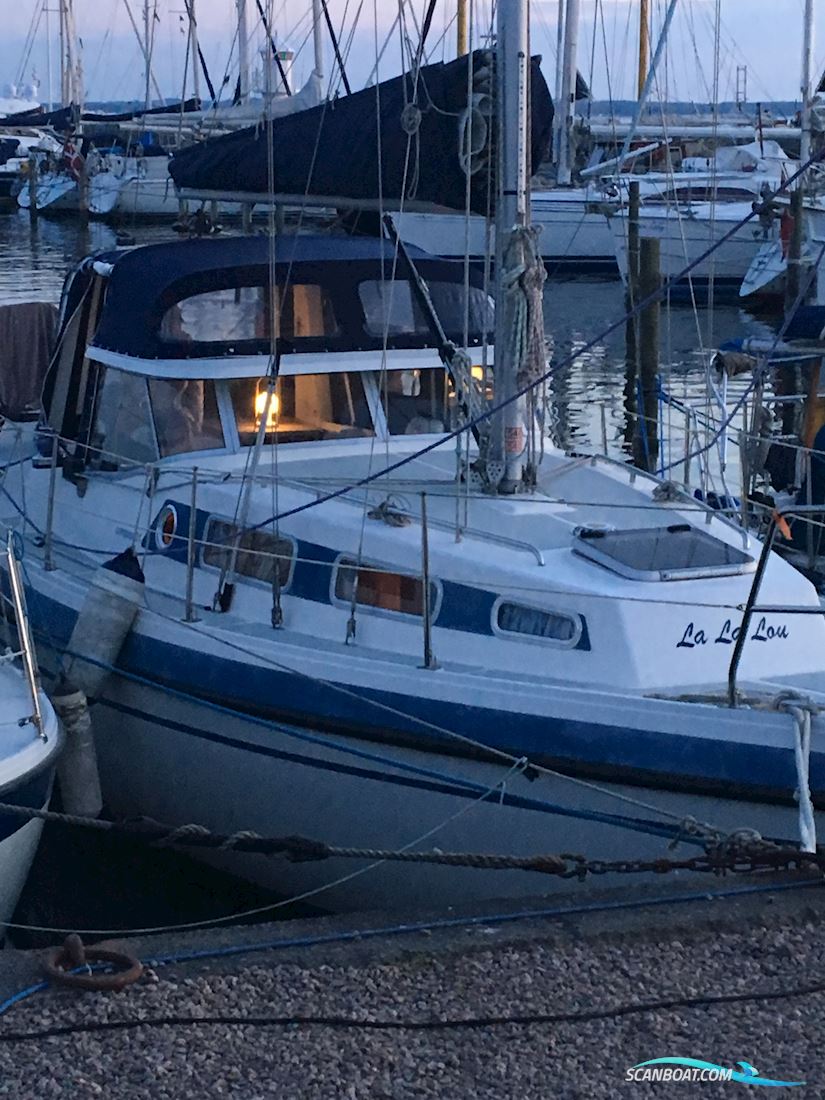 Compass 31