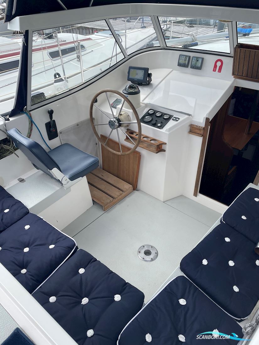 Compass 31
