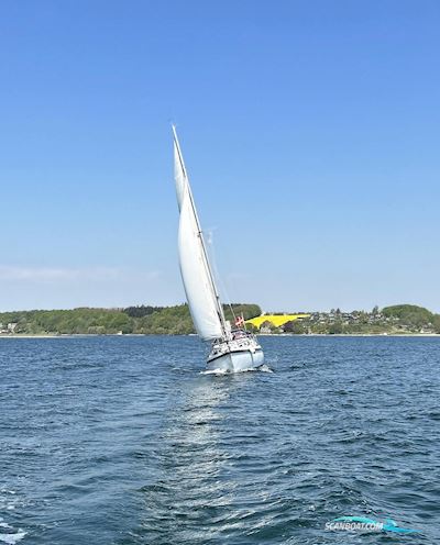 Compass 31 Motorsejler 1978, med Nanni motor, Danmark