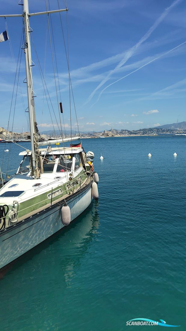 Coronet Elvström MS 38