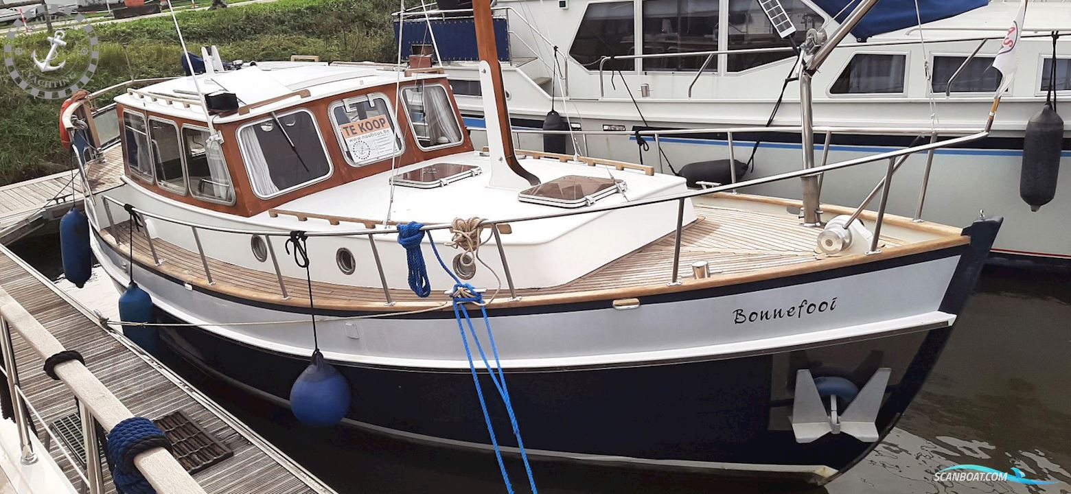 Danish Rose 32