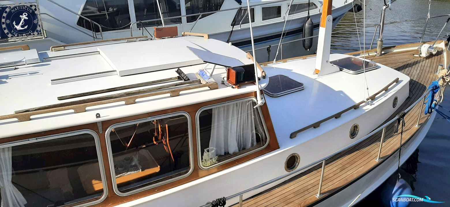 Danish Rose 32