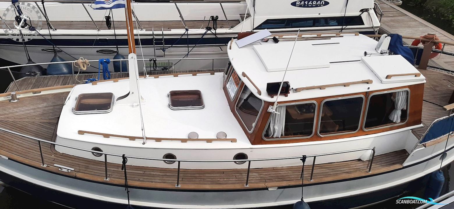 Danish Rose 32