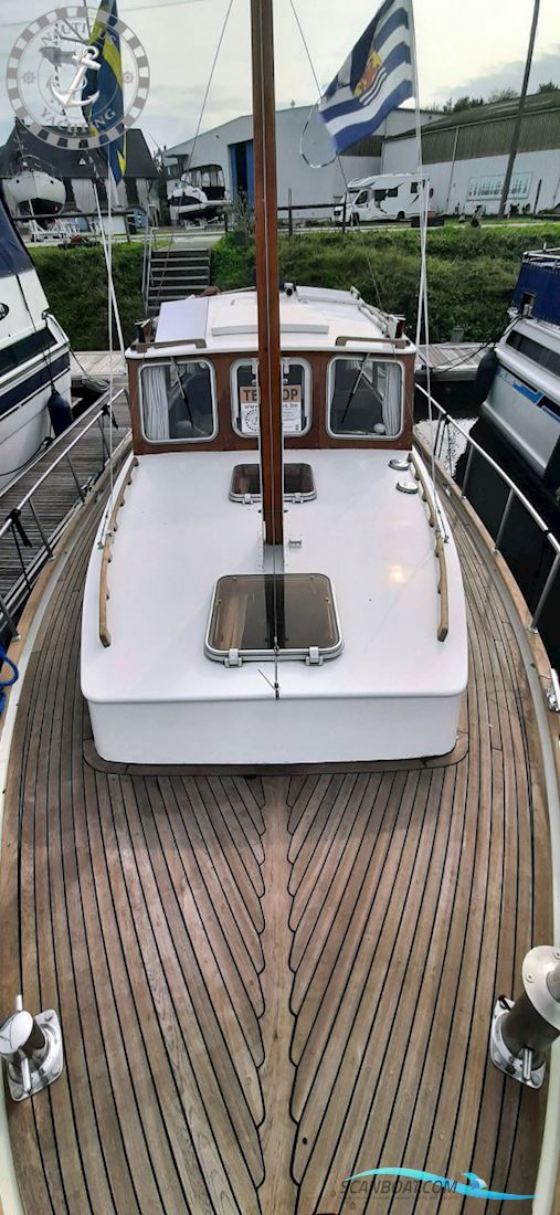 Danish Rose 32