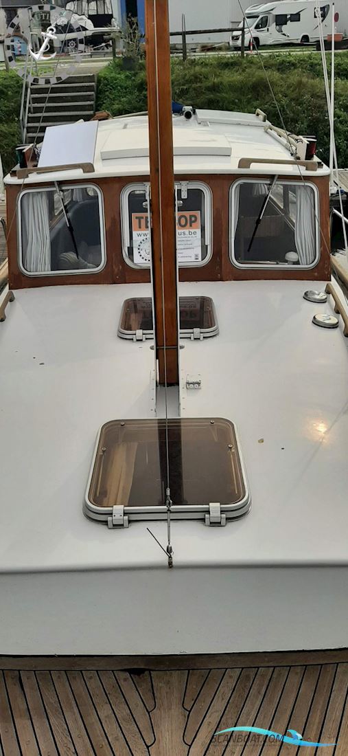Danish Rose 32