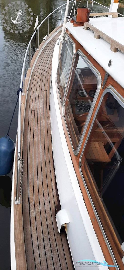 Danish Rose 32