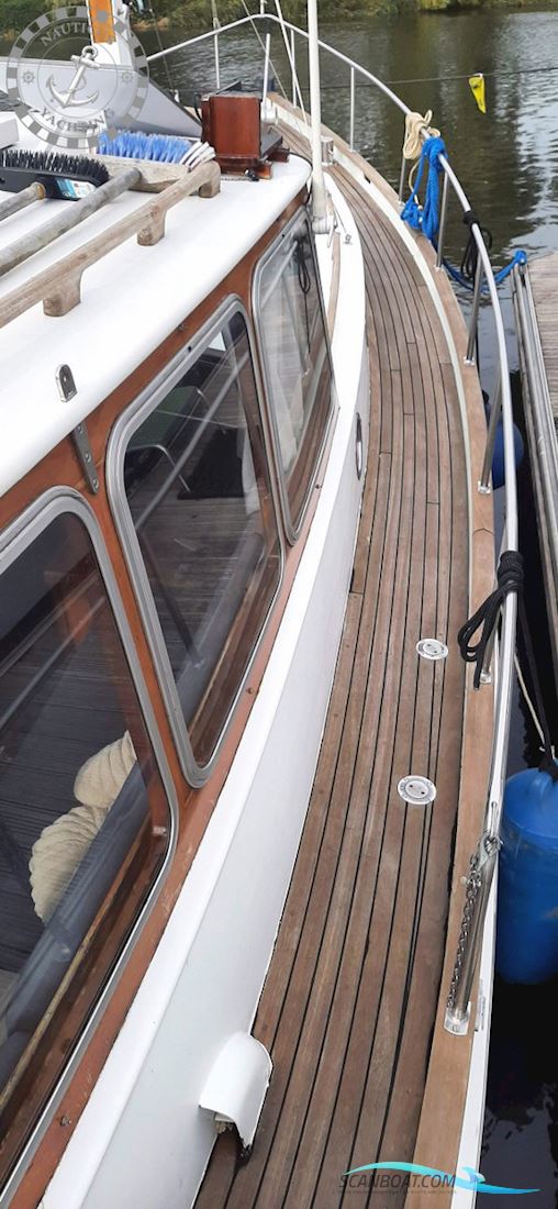 Danish Rose 32