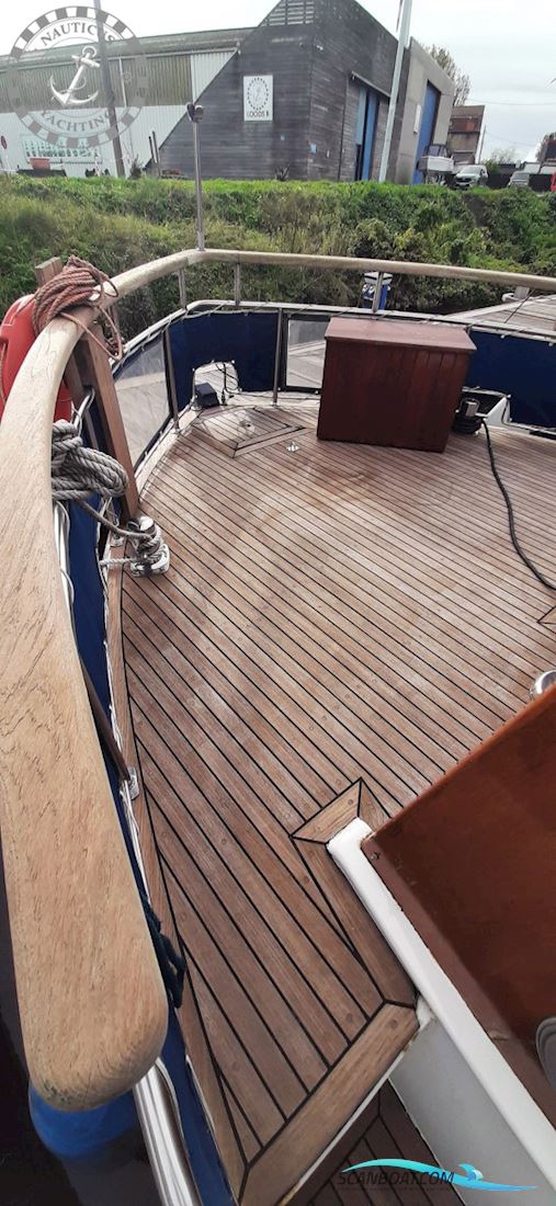 Danish Rose 32