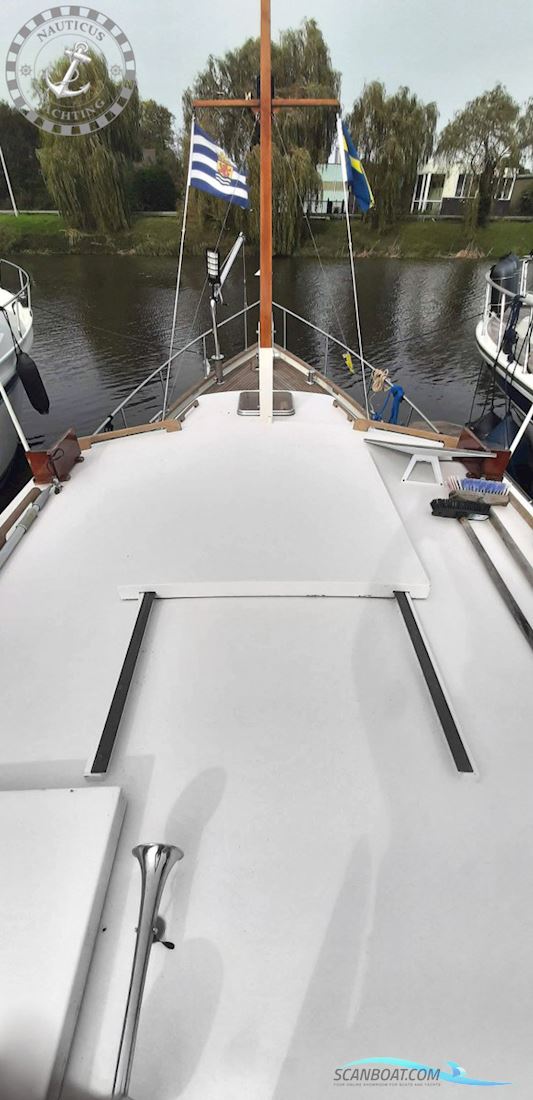 Danish Rose 32