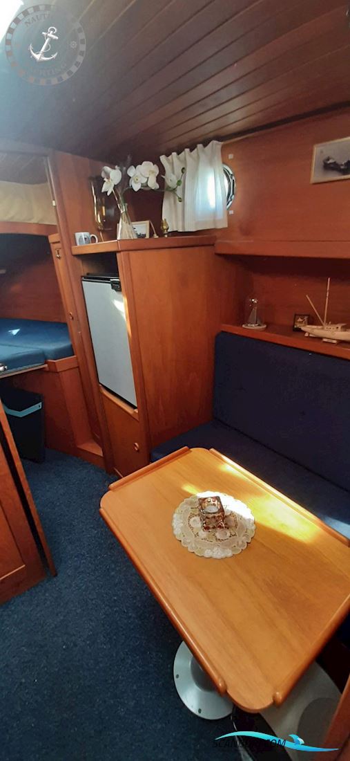 Danish Rose 32