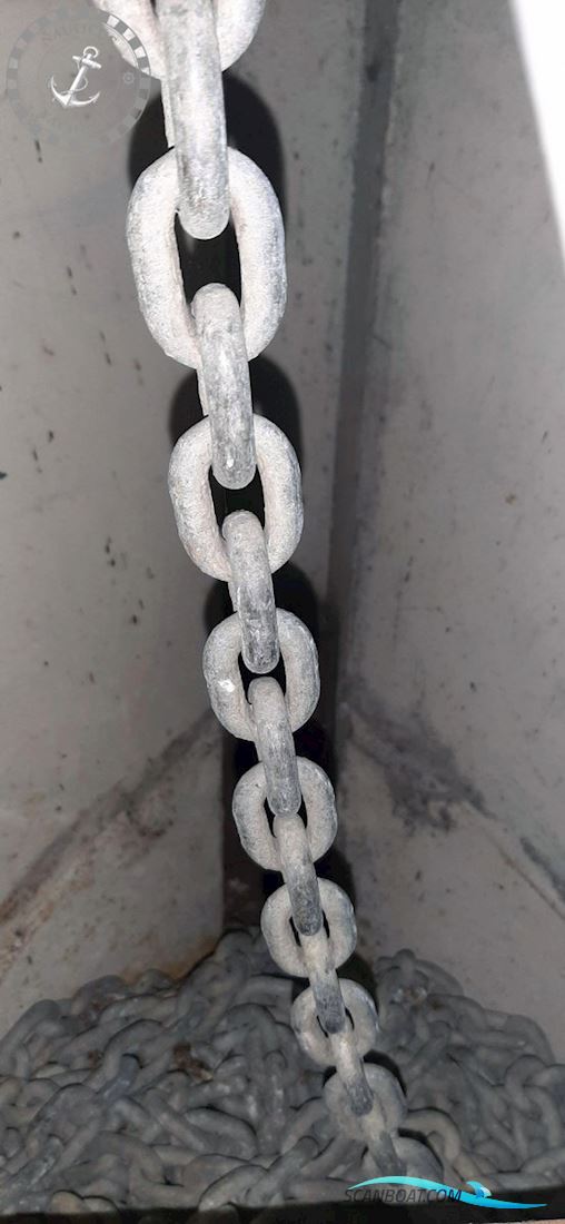 Danish Rose 32