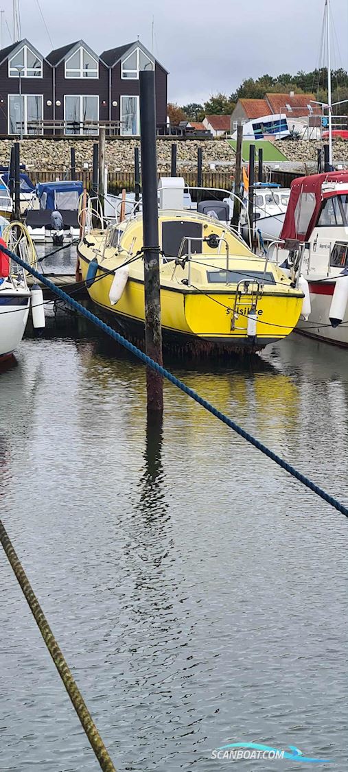 Draco Summerwind 24'